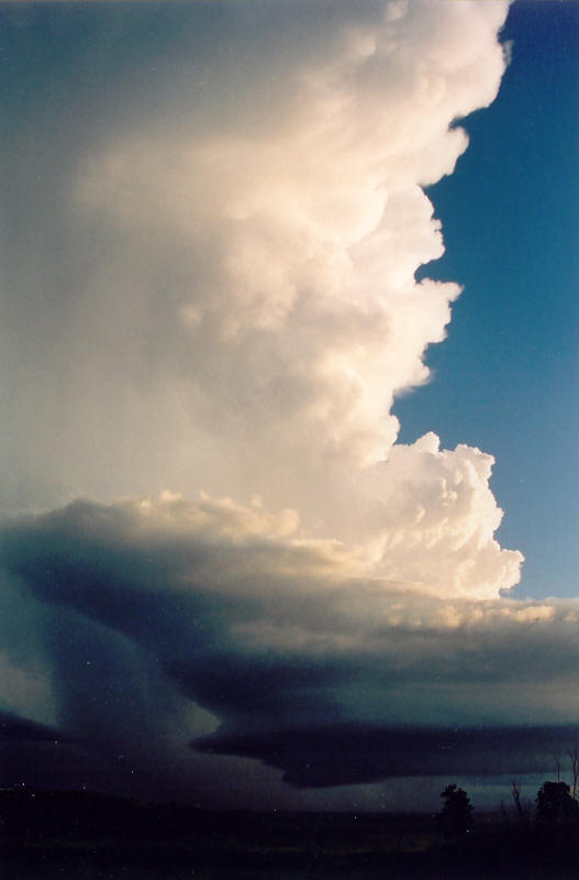wallcloud thunderstorm_wall_cloud : Meerschaum, NSW   20 October 2003
