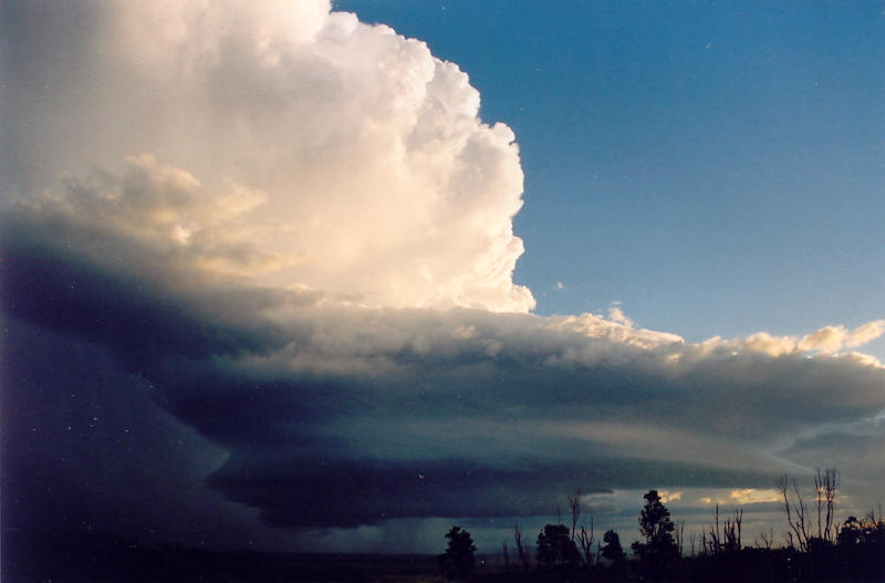 cumulonimbus supercell_thunderstorm : Meerschaum, NSW   20 October 2003