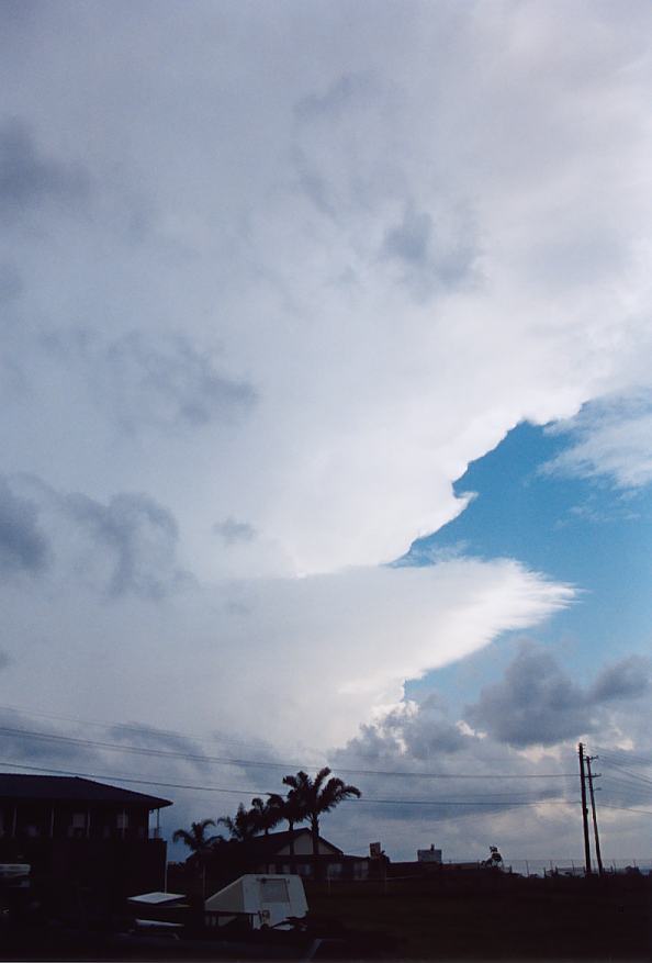 updraft thunderstorm_updrafts : Schofields, NSW   25 October 2003