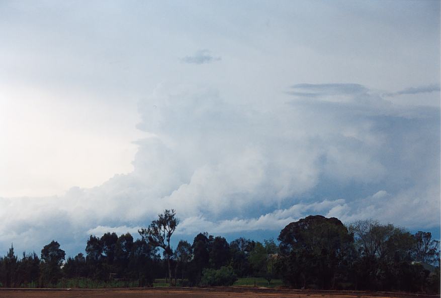 thunderstorm cumulonimbus_incus : Windsor, NSW   25 October 2003