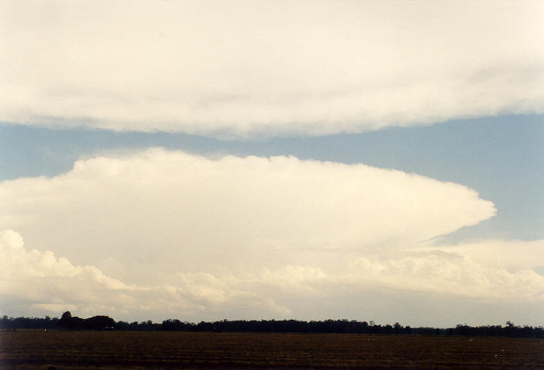 thunderstorm cumulonimbus_incus : N of Casino, NSW   26 October 2003