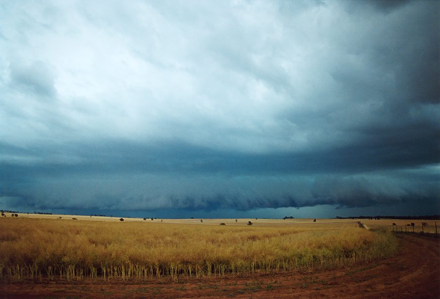 cumulonimbus thunderstorm_base : Temora, NSW   21 November 2003