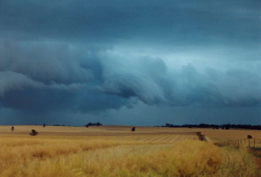 rollcloud roll_cloud : Temora, NSW   21 November 2003