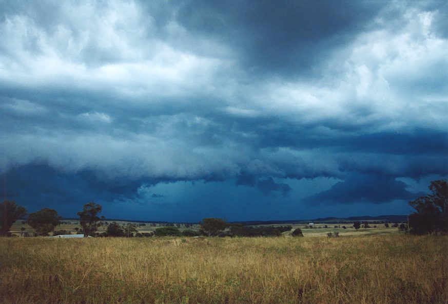 shelfcloud shelf_cloud : N of Harden, NSW   21 November 2003