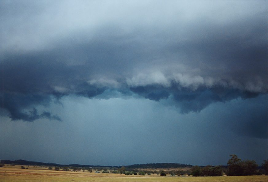 cumulonimbus supercell_thunderstorm : E of Mullaley, NSW   22 November 2003
