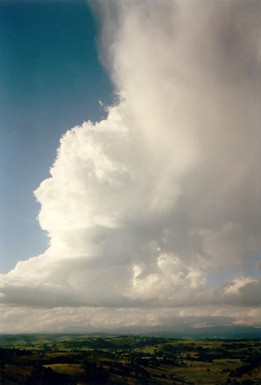 thunderstorm cumulonimbus_incus : McLeans Ridges, NSW   23 November 2003