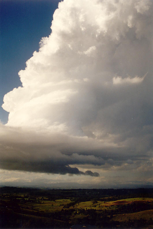 updraft thunderstorm_updrafts : McLeans Ridges, NSW   23 November 2003