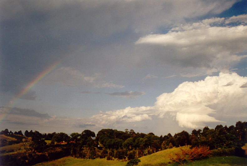 rainbow rainbow_pictures : McLeans Ridges, NSW   23 November 2003