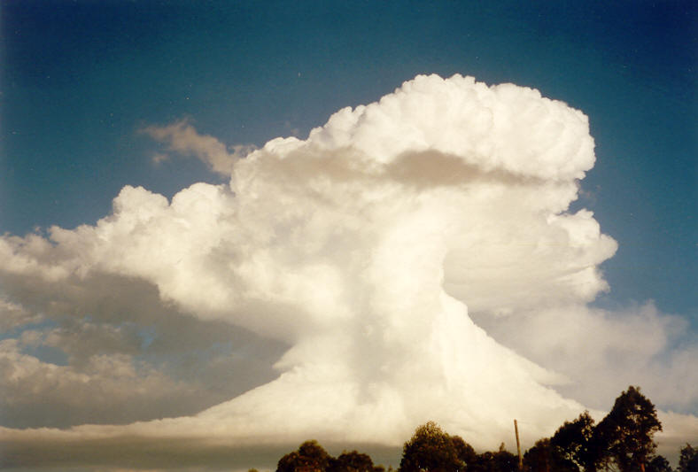 anvil thunderstorm_anvils : McLeans Ridges, NSW   23 November 2003
