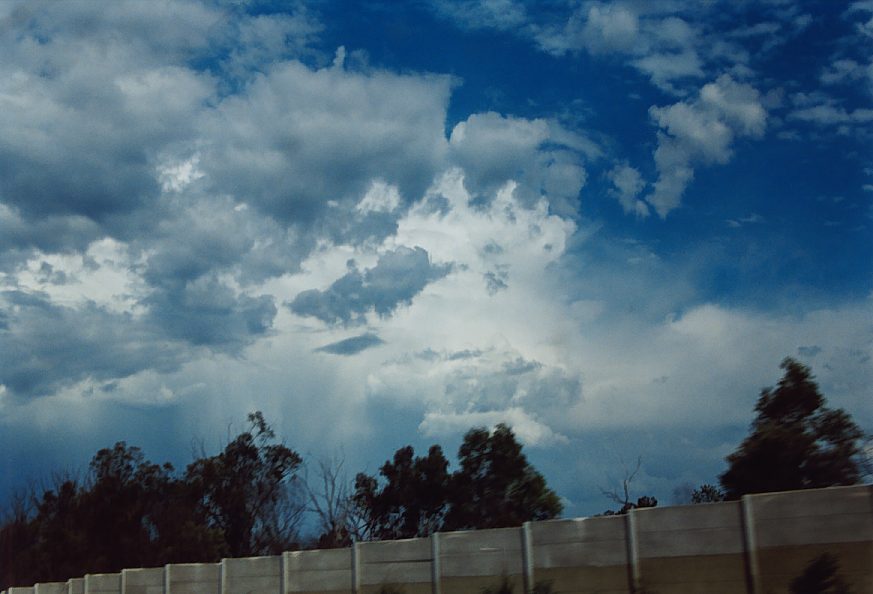 altocumulus altocumulus_cloud : near Lapstone, NSW   30 November 2003