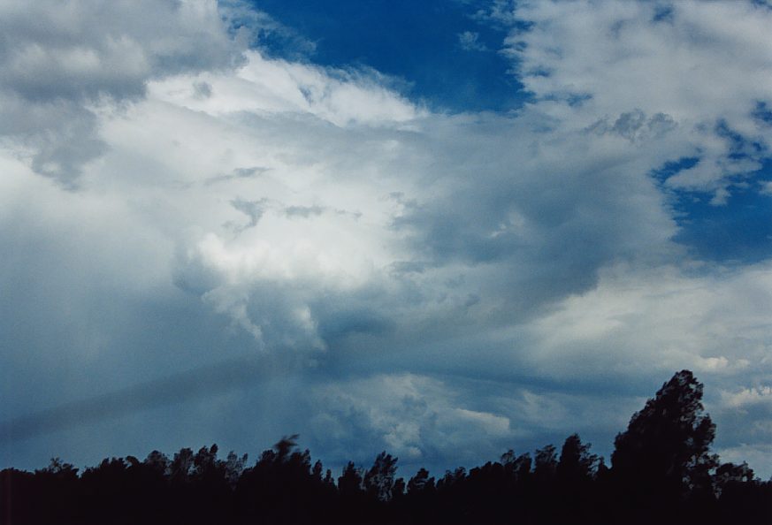 cumulonimbus thunderstorm_base : near Lapstone, NSW   30 November 2003