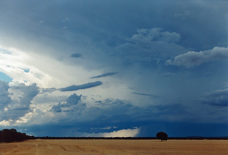 cumulonimbus thunderstorm_base : N of Griffith, NSW   1 December 2003