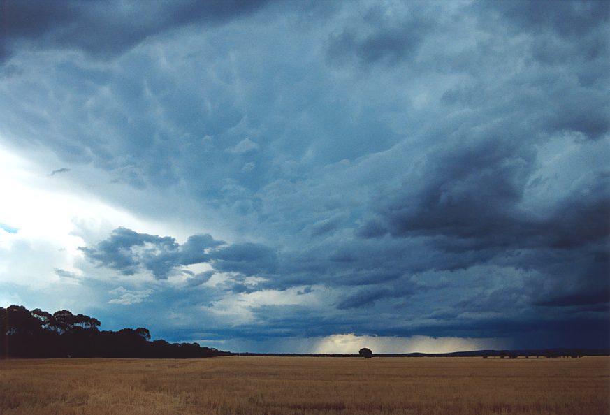 anvil thunderstorm_anvils : N of Griffith, NSW   1 December 2003