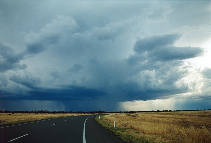 raincascade precipitation_cascade : E of Hay, NSW   3 December 2003