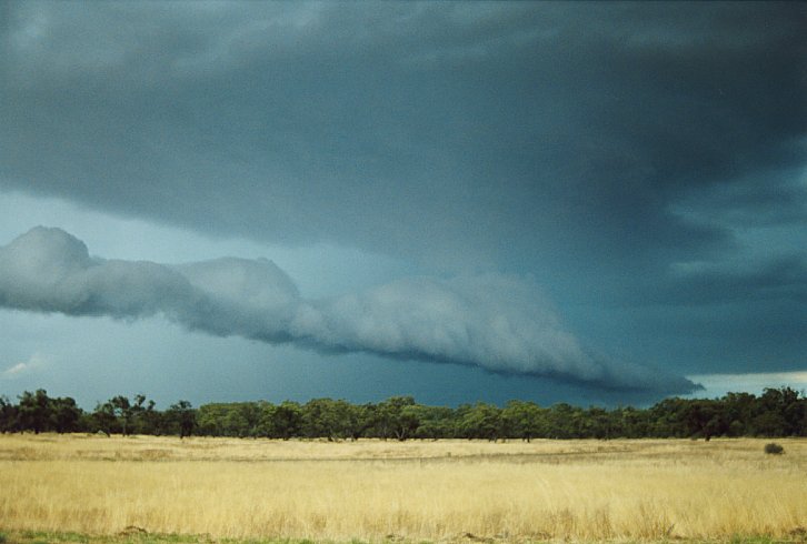 shelfcloud shelf_cloud : E of Hay, NSW   3 December 2003