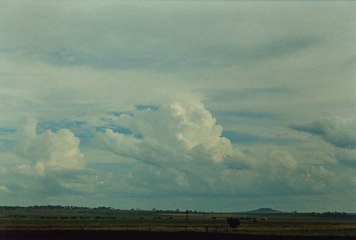 thunderstorm cumulonimbus_calvus : Warwick, Qld   9 December 2003