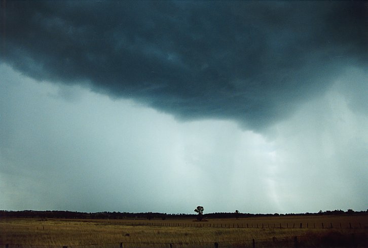 raincascade precipitation_cascade : Quirindi, NSW   10 January 2004