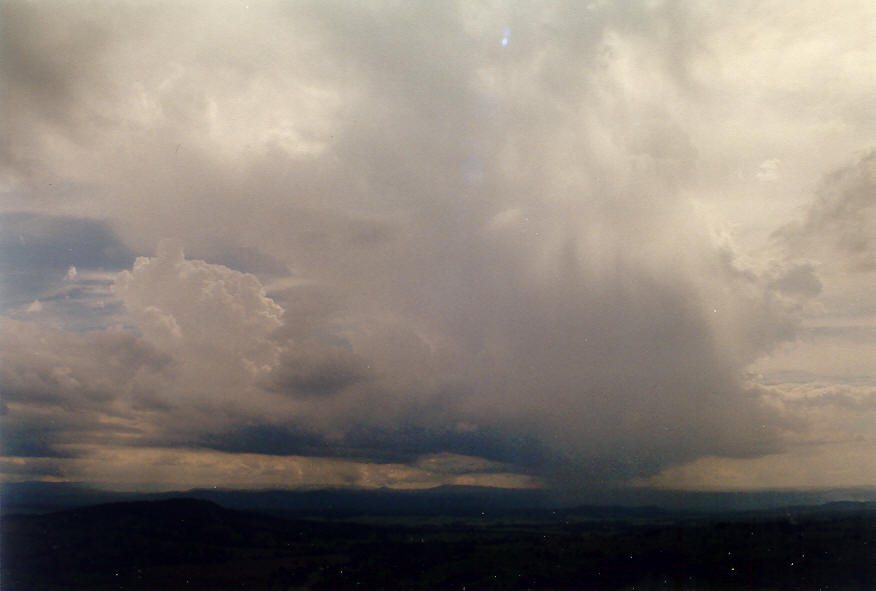 thunderstorm cumulonimbus_calvus : McLeans Ridges, NSW   23 January 2004