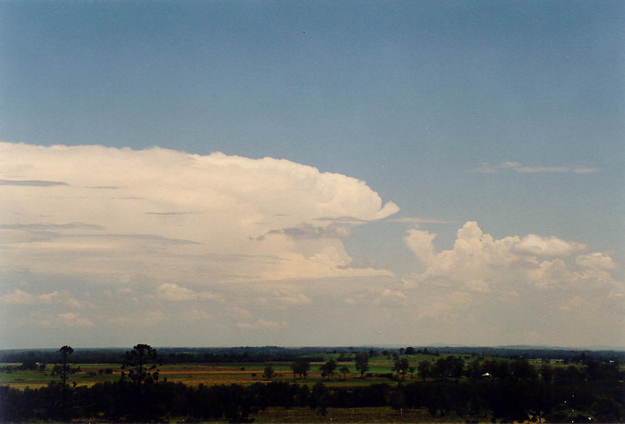 thunderstorm cumulonimbus_incus : Parrots Nest, NSW   24 January 2004