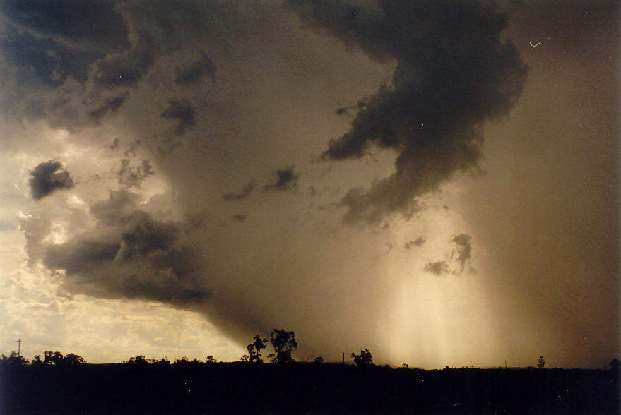 raincascade precipitation_cascade : Coraki, NSW   24 January 2004