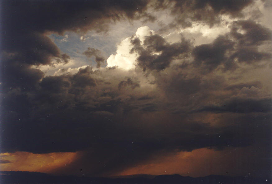 thunderstorm cumulonimbus_calvus : Coraki, NSW   24 January 2004