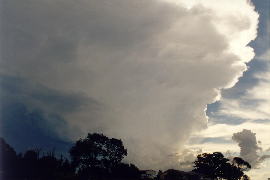 thunderstorm cumulonimbus_incus : McLeans Ridges, NSW   25 January 2004