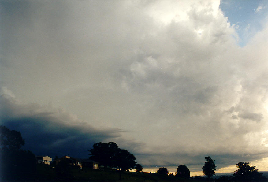 thunderstorm cumulonimbus_incus : McLeans Ridges, NSW   25 January 2004