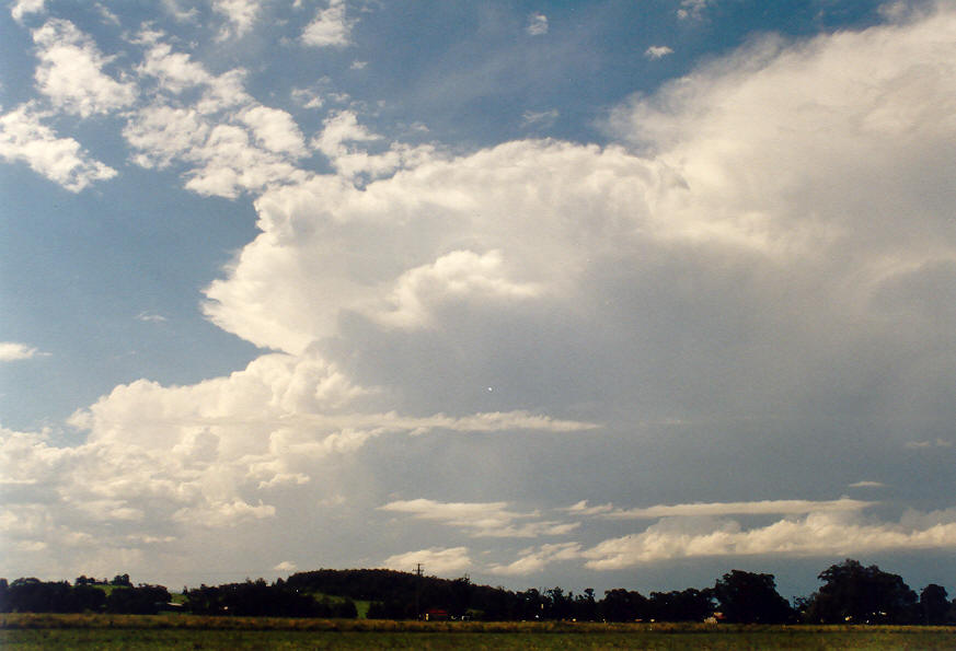 thunderstorm cumulonimbus_incus : Kyogle, NSW   26 January 2004