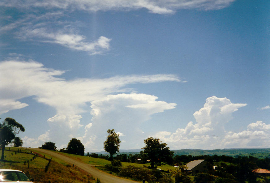 thunderstorm cumulonimbus_calvus : McLeans Ridges, NSW   26 January 2004