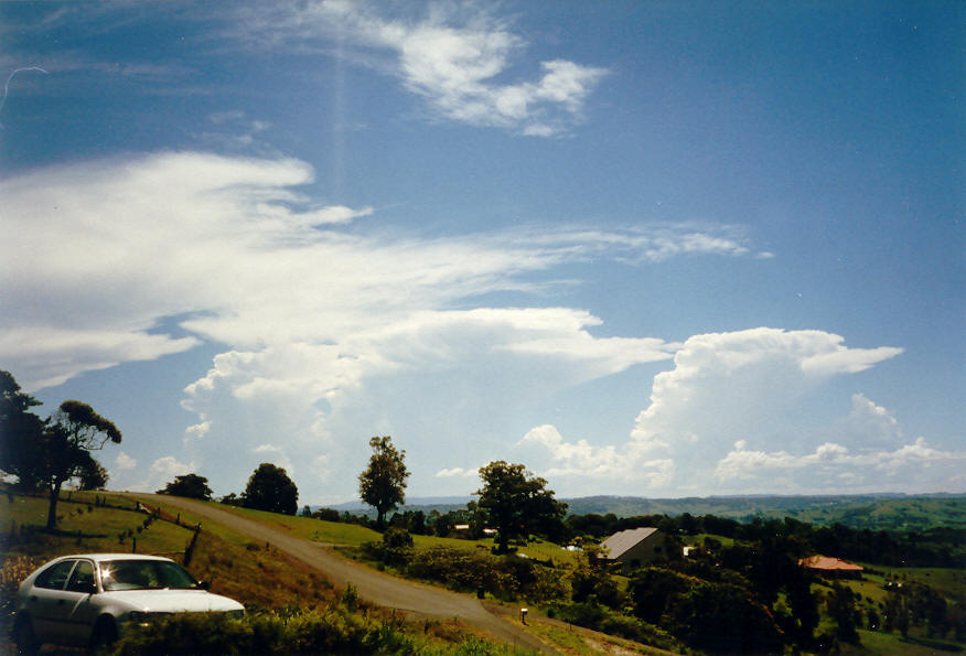thunderstorm cumulonimbus_incus : McLeans Ridges, NSW   26 January 2004
