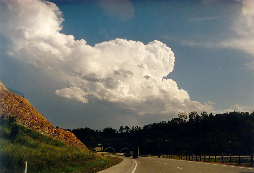 thunderstorm cumulonimbus_incus : Tweed Coast, NSW   28 January 2004