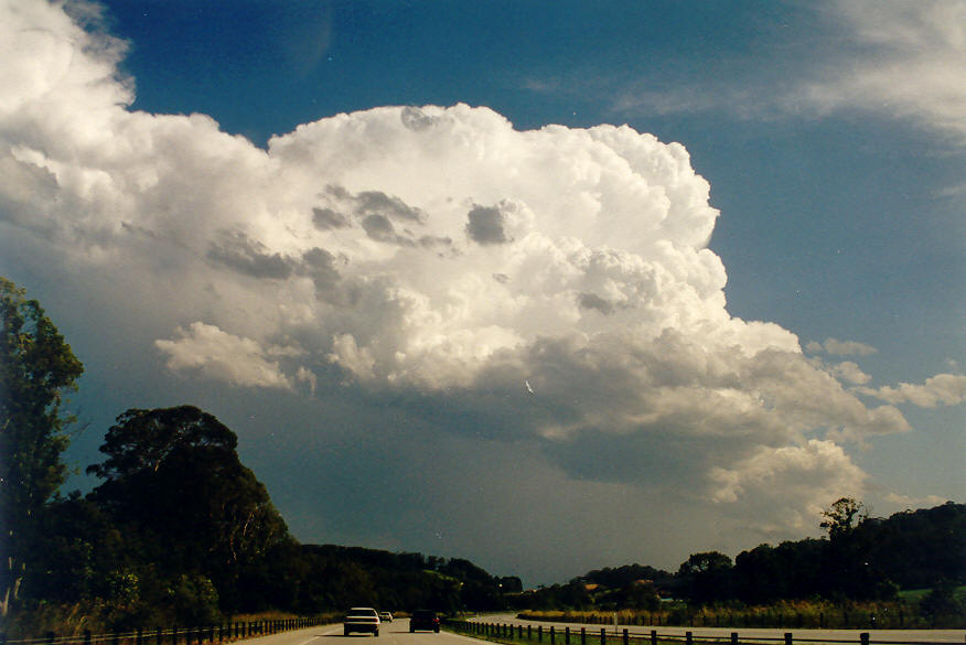 updraft thunderstorm_updrafts : Tweed Coast, NSW   28 January 2004