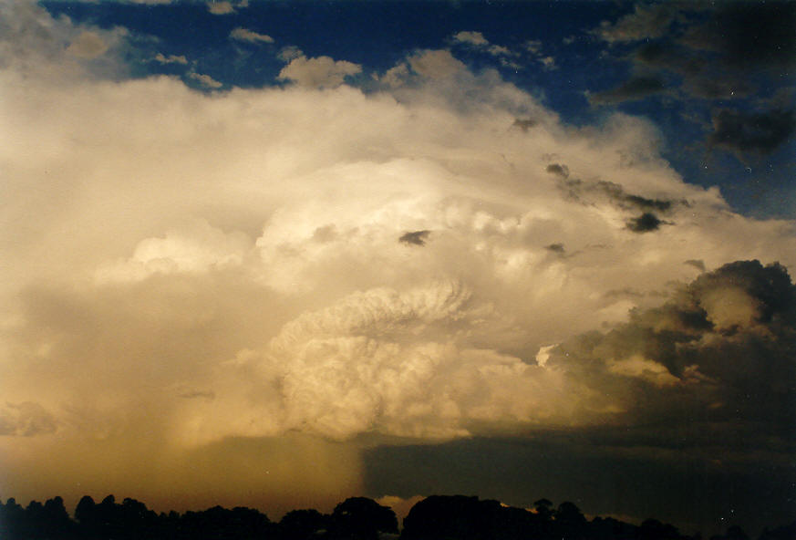 cumulonimbus supercell_thunderstorm : McLeans Ridges, NSW   28 January 2004