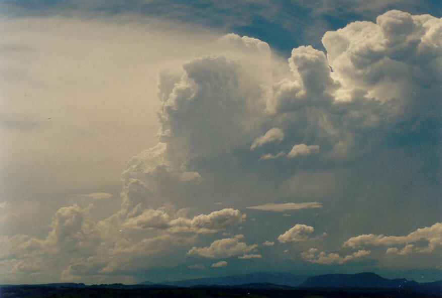updraft thunderstorm_updrafts : McLeans Ridges, NSW   30 January 2004