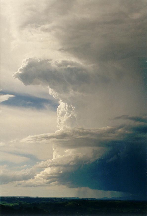 thunderstorm cumulonimbus_incus : McLeans Ridges, NSW   30 January 2004