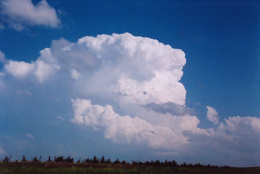 thunderstorm cumulonimbus_incus : N of Coldwater, Kansas, USA   12 May 2004