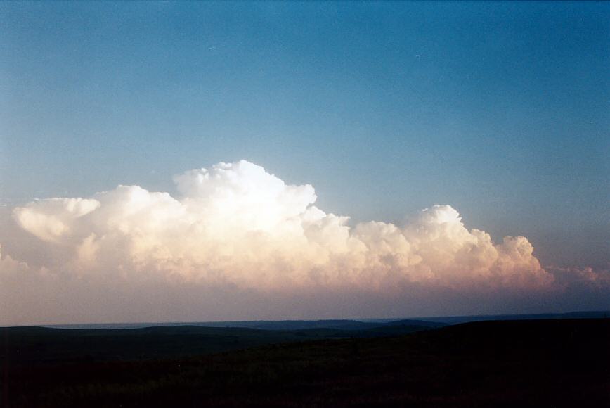 thunderstorm cumulonimbus_calvus : NW of Topeka, Kansas, USA   24 May 2004