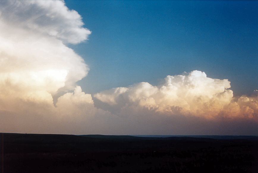 thunderstorm cumulonimbus_calvus : NW of Topeka, Kansas, USA   24 May 2004