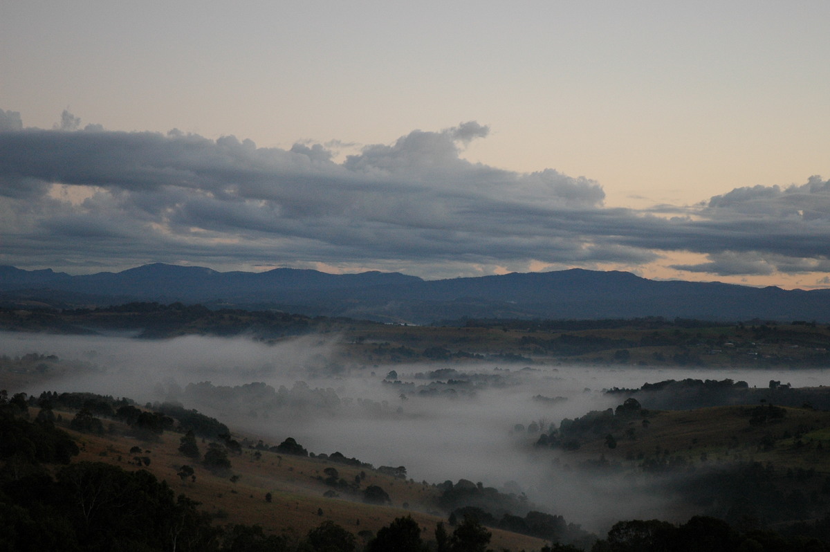 fogmist fog_mist_frost : McLeans Ridges, NSW   13 July 2004