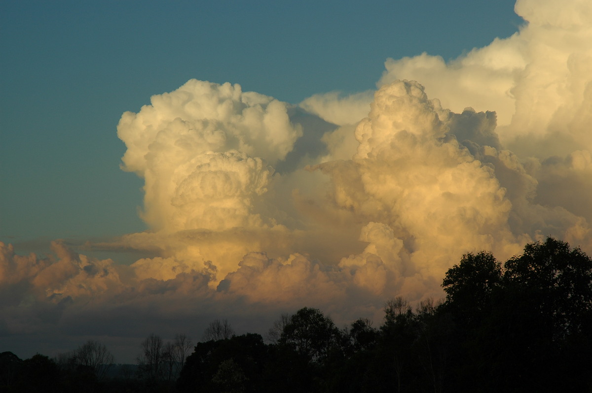 cumulus congestus : McLeans Ridges, NSW   29 July 2004