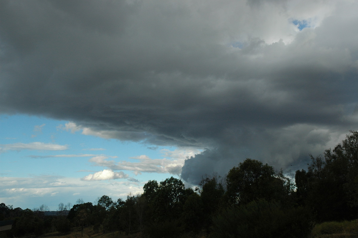cumulus congestus : McLeans Ridges, NSW   18 August 2004