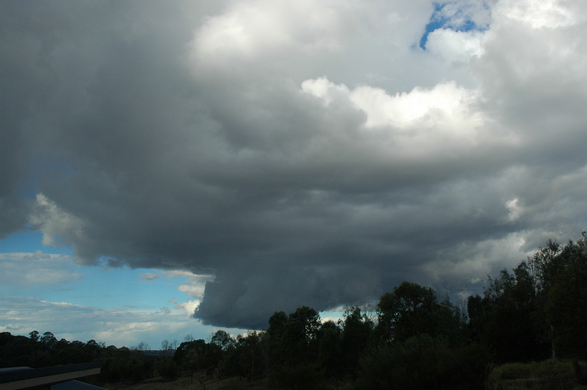 cumulus congestus : McLeans Ridges, NSW   18 August 2004