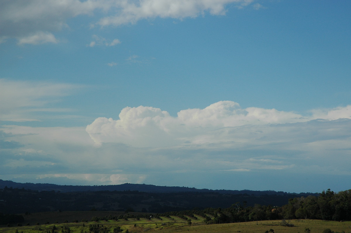 thunderstorm cumulonimbus_incus : McLeans Ridges, NSW   4 September 2004