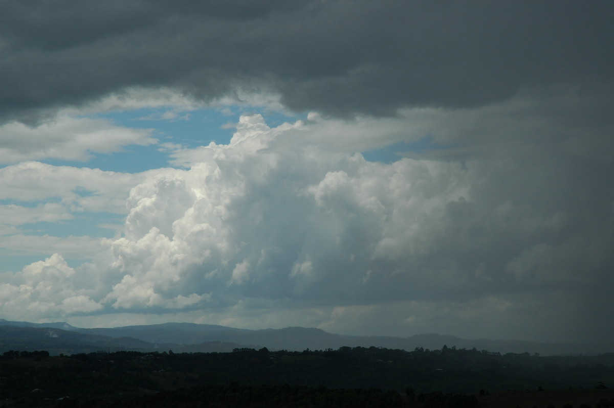 cumulus congestus : McLeans Ridges, NSW   21 October 2004