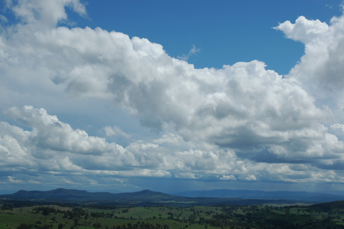 cumulus mediocris : Mallanganee NSW   9 November 2004