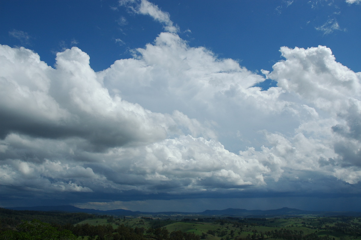thunderstorm cumulonimbus_incus : Mallanganee NSW   9 November 2004