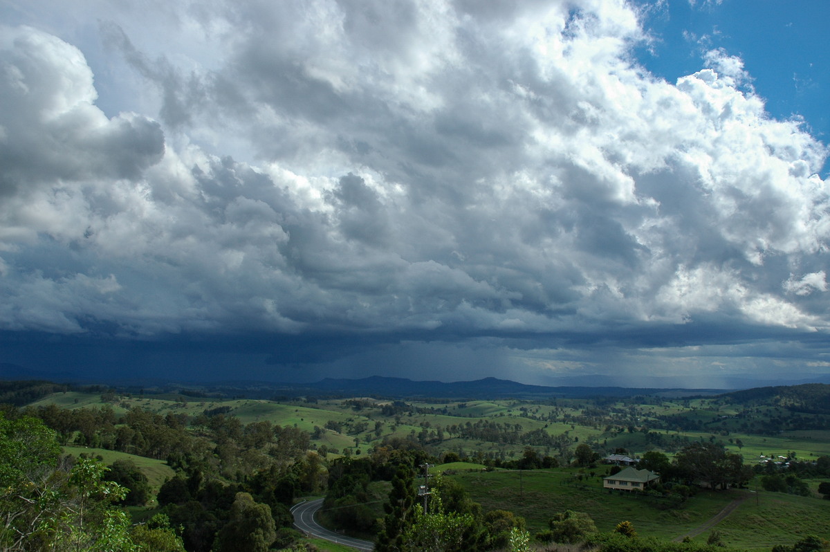 raincascade precipitation_cascade : Mallanganee NSW   9 November 2004