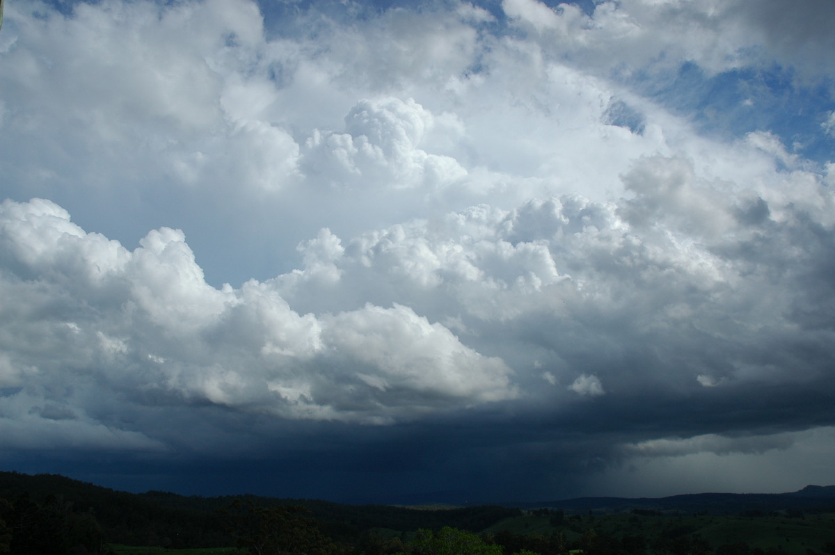 updraft thunderstorm_updrafts : Mallanganee NSW   9 November 2004