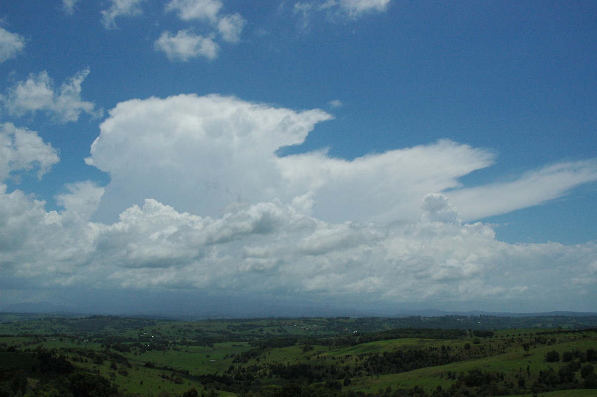 anvil thunderstorm_anvils : McLeans Ridges, NSW   17 November 2004