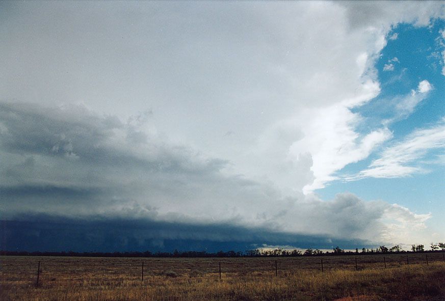 thunderstorm cumulonimbus_incus : 20km W of Nyngan, NSW   7 December 2004